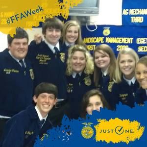 Meet your Posher, Maggie